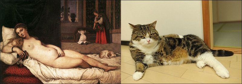 Коты и искусство (21 фото)