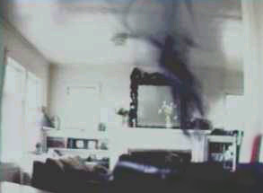 Эти кадры взяты из записи, сделанной компьютерной вэб-камерой, когда хозяин компьютера выходил из комнаты.